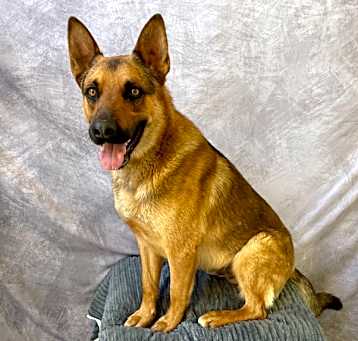 Photo of MILO