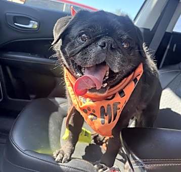 Photo of FRANK
