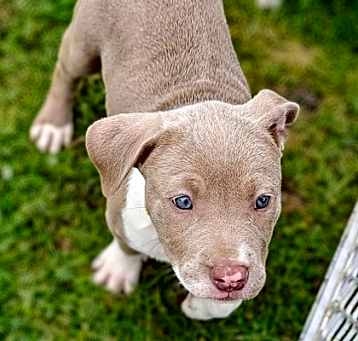 Photo of Gamora