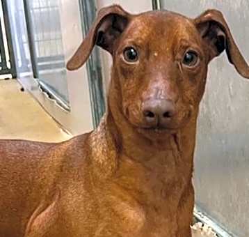 Photo of BOONE