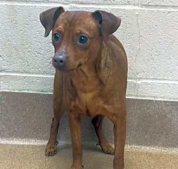 Photo of BUDDY