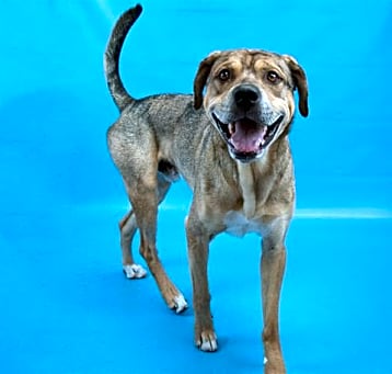 Photo of SAMMY
