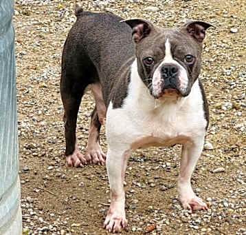 Photo of Lily - 2282