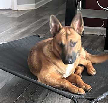 Photo of Belly