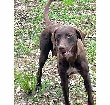 Photo of Hershey