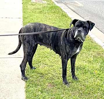 Photo of Molly