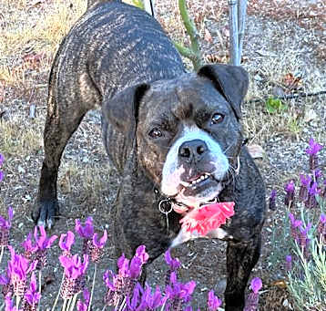 Photo of ANJA