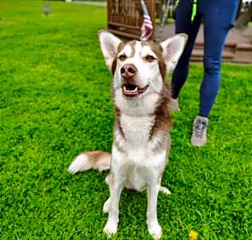 Photo of LOUIE