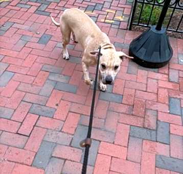 Photo of Zeek