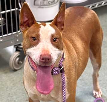 Photo of Athena