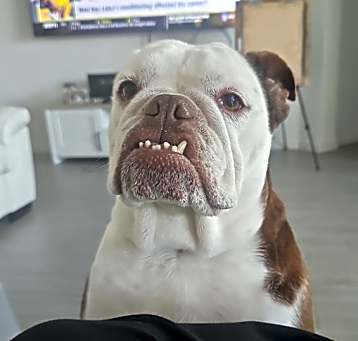 Photo of Khloe