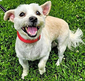 Photo of OSCAR
