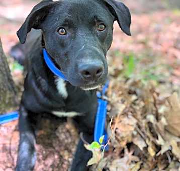 Photo of Maverick