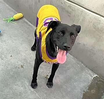 Photo of OSO