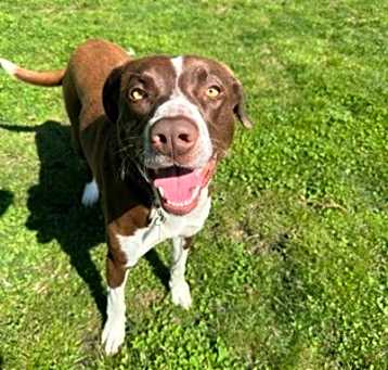 Photo of Remi
