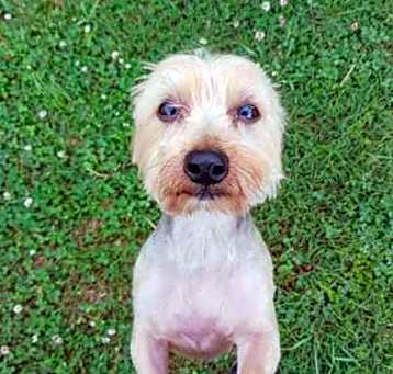 Photo of Bentley