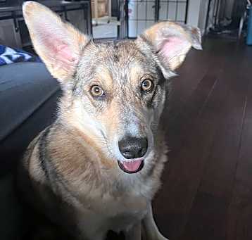 Photo of Ellie