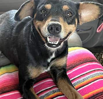 Photo of Sayla