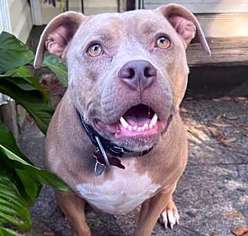 Photo of Theodore
