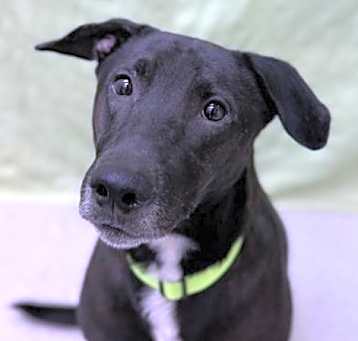 Photo of Axel