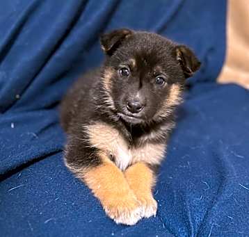 Photo of Rocko