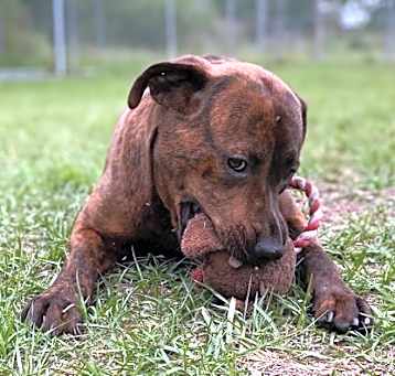 Photo of Precious