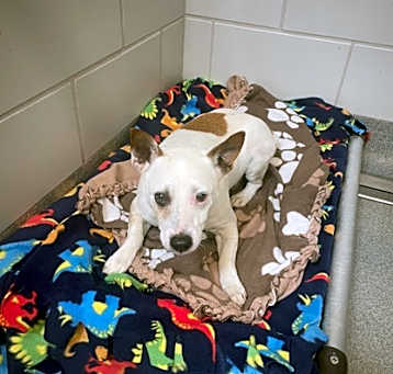 Photo of Murdock