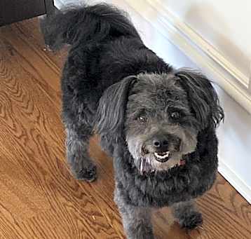 Photo of Max