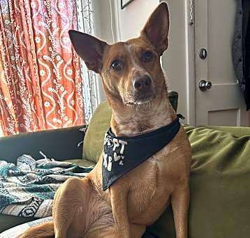 Photo of Mabel