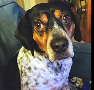 Photo of Buster