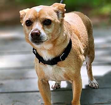 Photo of Max