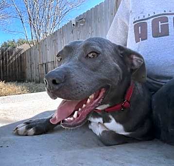 Photo of Laney