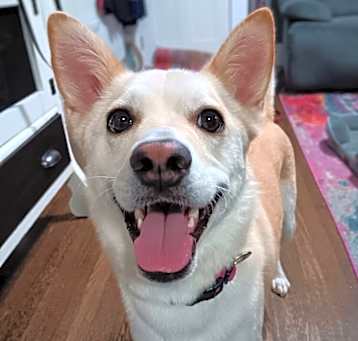 Photo of MANGO