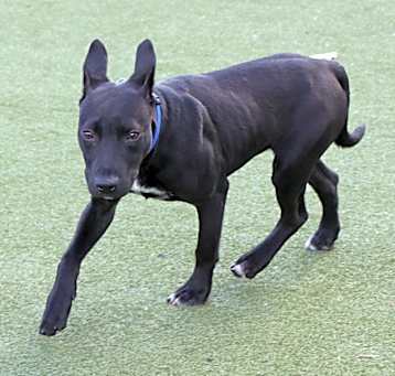 Photo of Monte