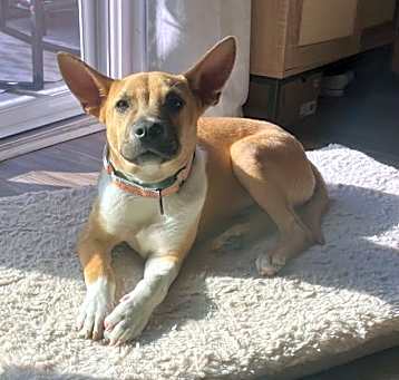 Photo of Quincy