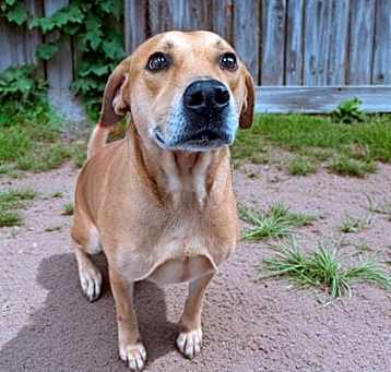 Photo of Cooper