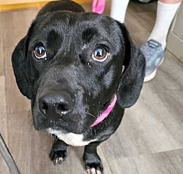 Photo of Heinz
