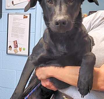 Photo of Emmylou