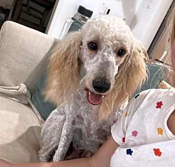 Photo of Bella