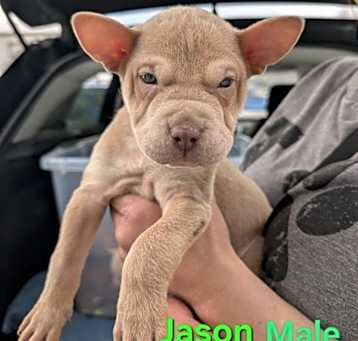 Photo of Jason