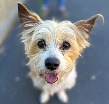 Photo of Fannie
