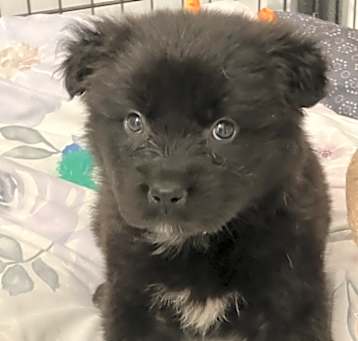 Photo of JUDE