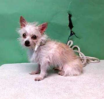 Photo of BITSY