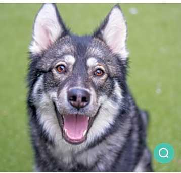 Photo of Mico