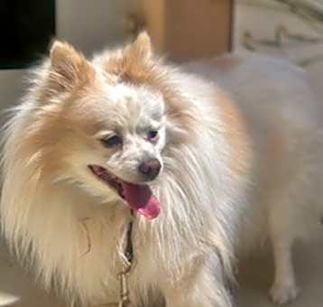 Photo of James*