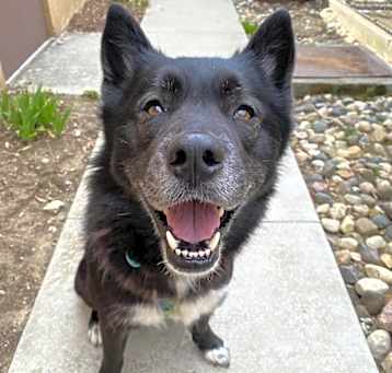 Photo of Louie