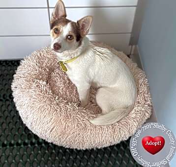 Photo of Honey Yrly 170