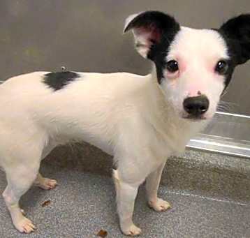 Photo of Kylo Yrly 177
