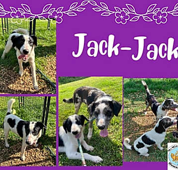 Photo of Jack-Jack