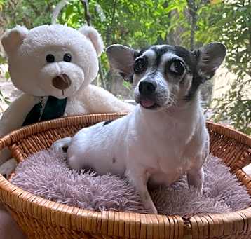 Photo of Peggy Sue